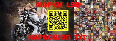 гашик Кулебаки