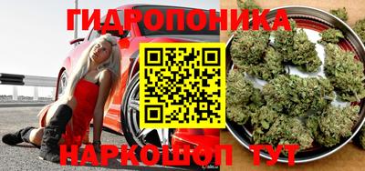 гашик Кулебаки