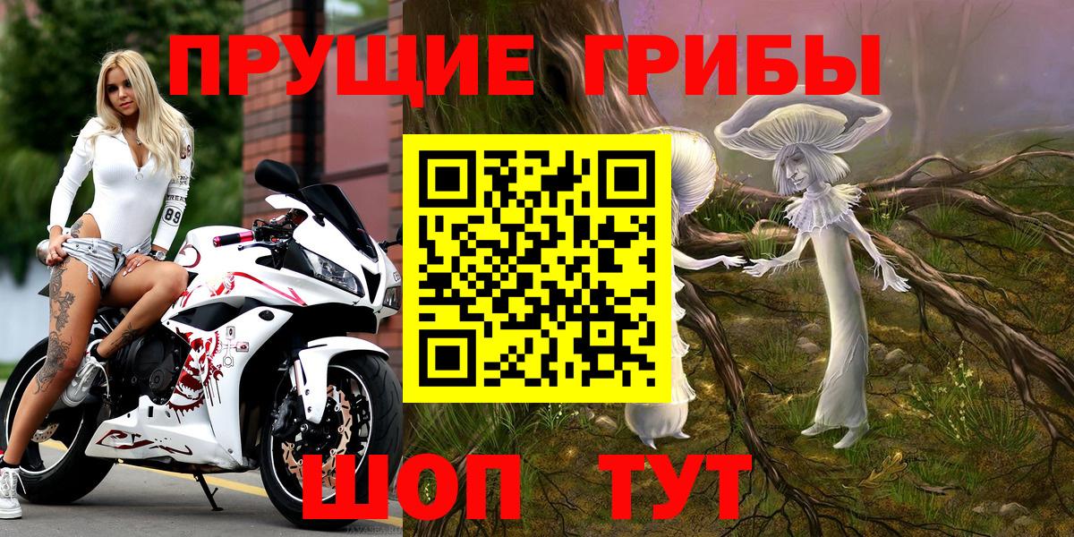 Галлюциногенные грибы Cubensis Фурманов