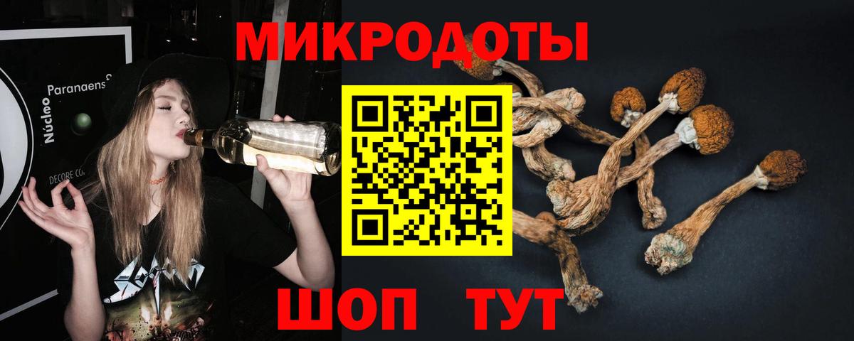 Псилоцибиновые грибы MAGIC MUSHROOMS  Вход с VPN  Фурманов 